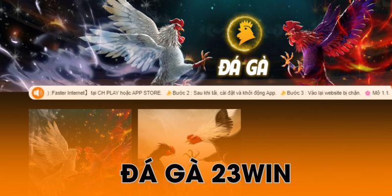 Tìm hiểu bộ môn Đá Gà 23win đặc sắc